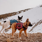 Dog Backpack product image 4