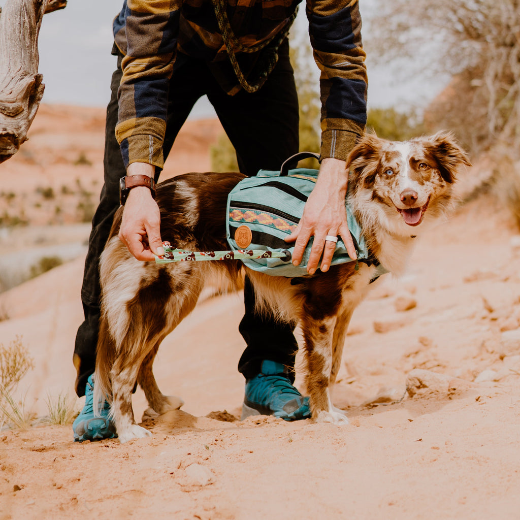 Dog Backpack product image 5