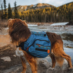 Dog Backpack product image 9