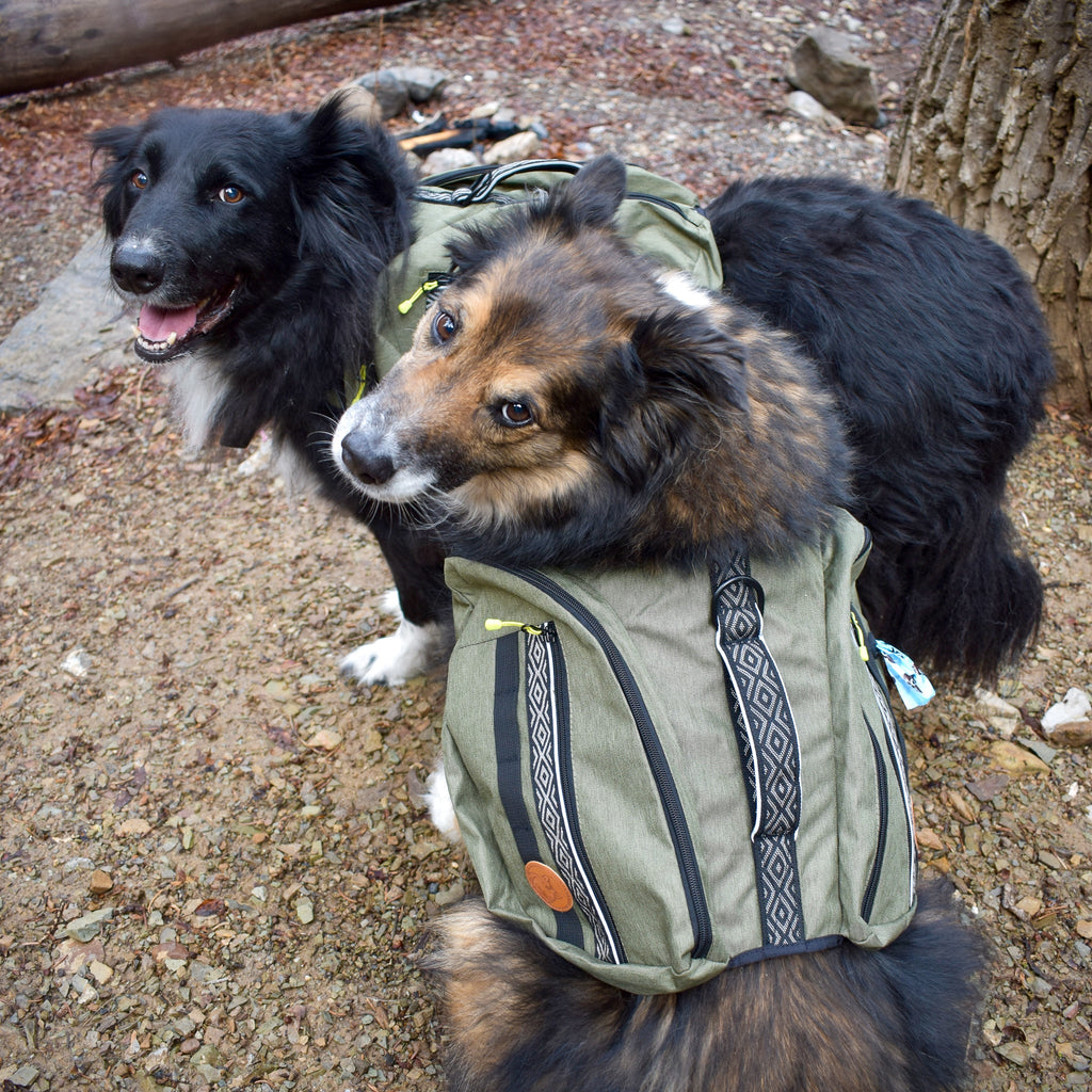 Dog Backpack product image 11