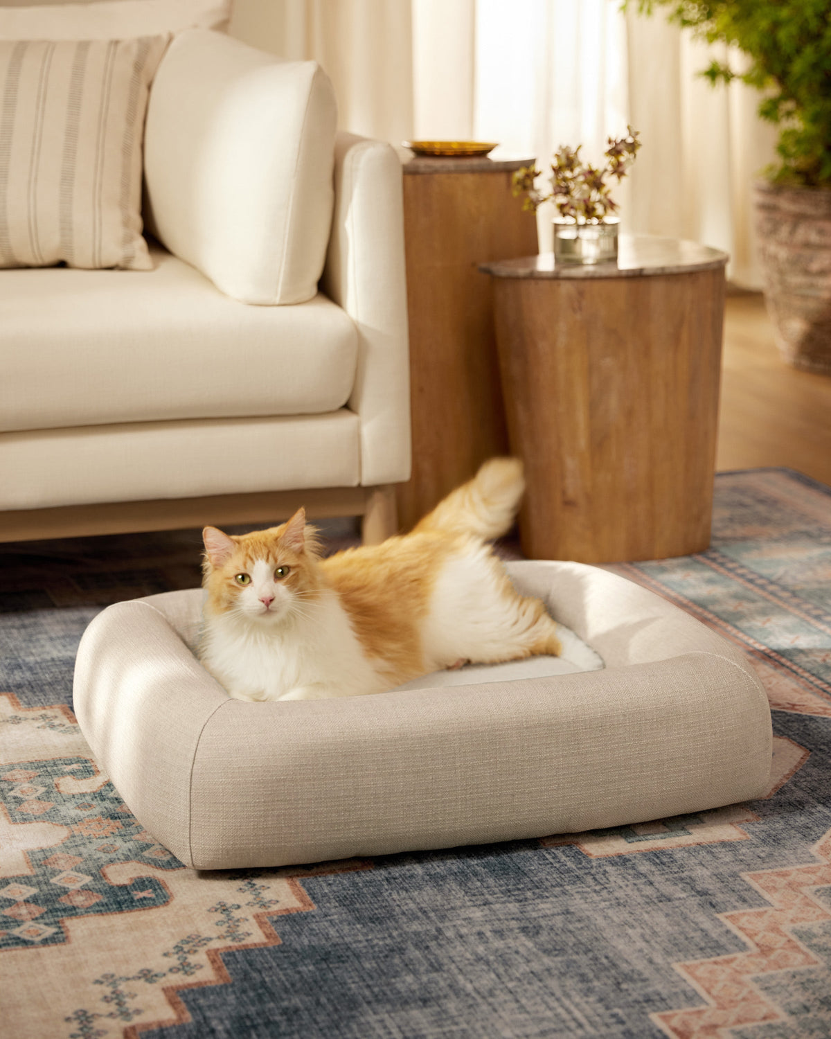 Bolster Pet Bed product image 2