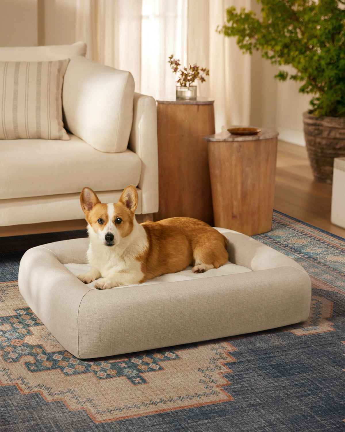 Bolster Pet Bed product image 3