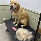 Pet Deshedding Comb product image 2