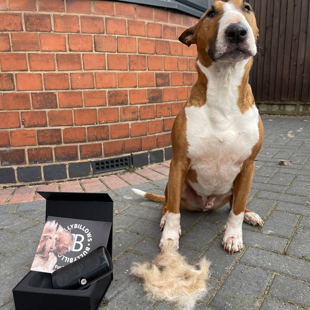 Pet Deshedding Comb product image 3