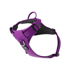 Anti-Pull Dog Harness A