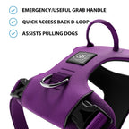 Anti-Pull Dog Harness product image 2