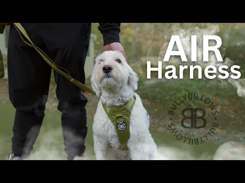 Anti-Pull Dog Harness product image 6