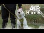 Anti-Pull Dog Harness product image 6