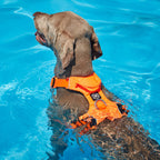 Anti-Pull Dog Harness product image 7