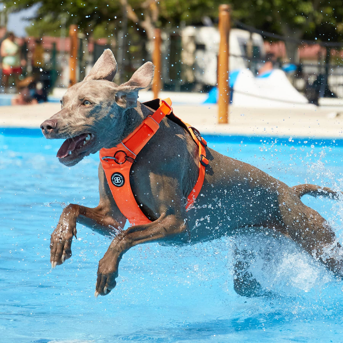 Anti-Pull Dog Harness product image 8