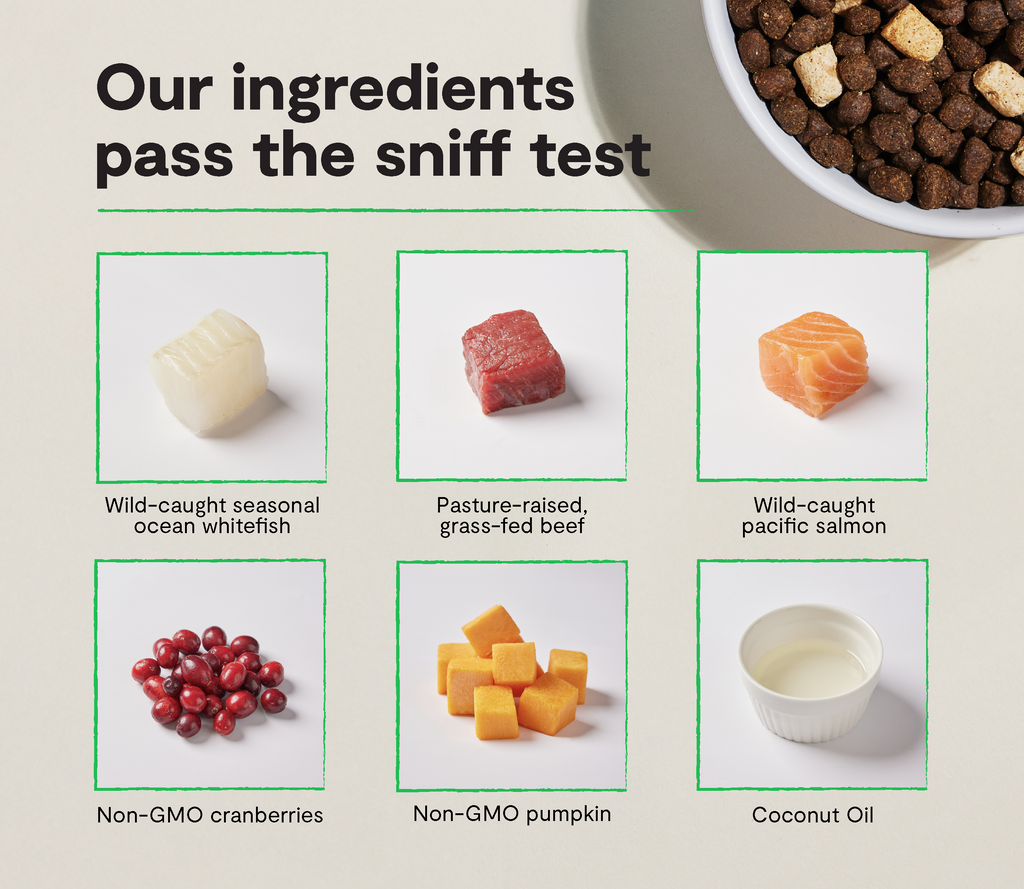 Dry Dog Food product image 3