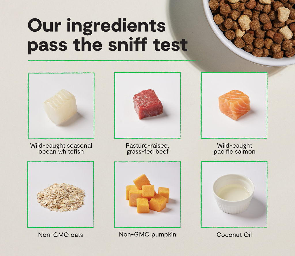 Dry Dog Food product image 3