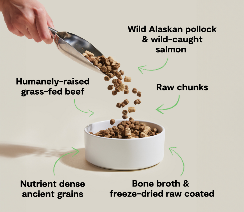 Dry Dog Food product image 5