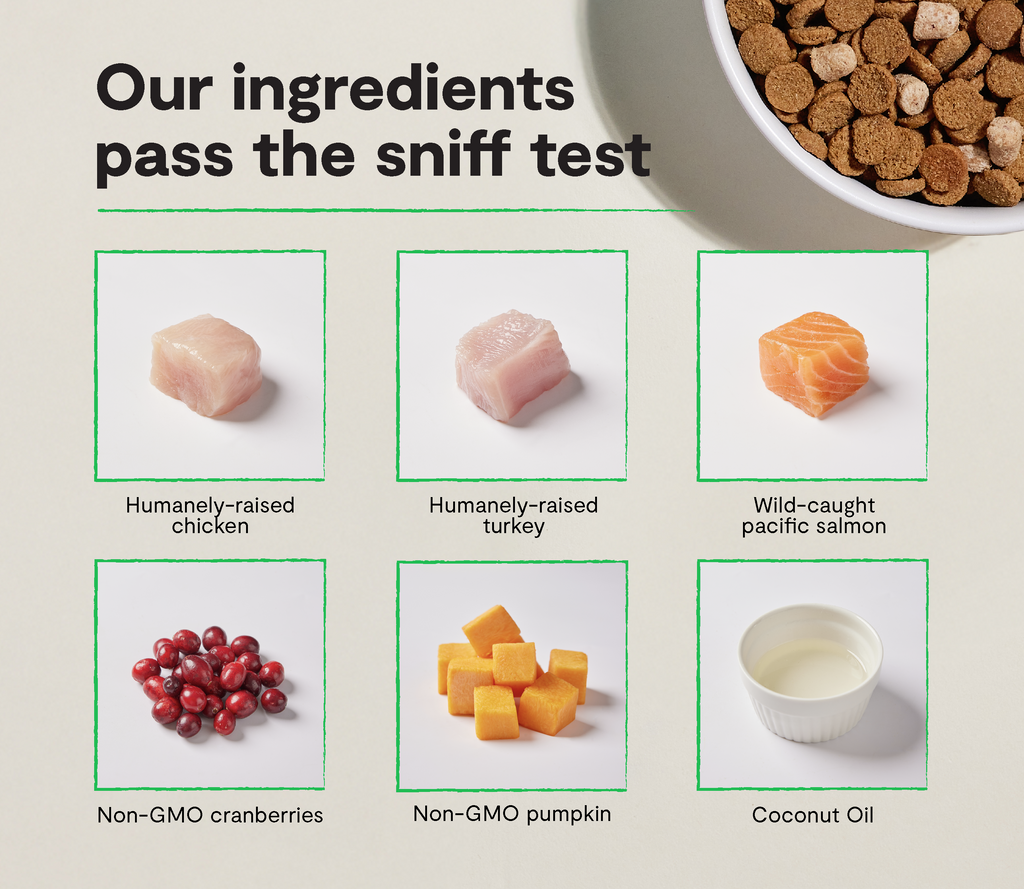 Dry Dog Food product image 3
