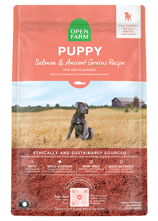 Puppy Kibble product image 1