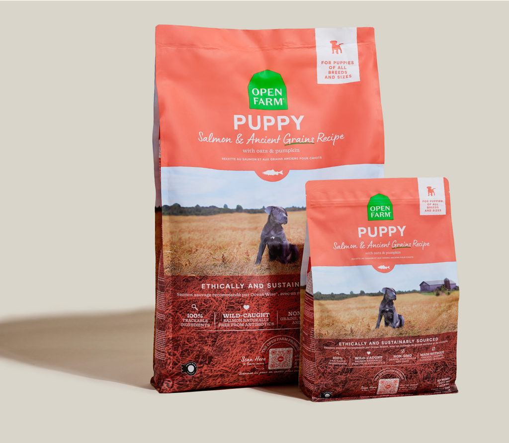 Puppy Kibble product image 8