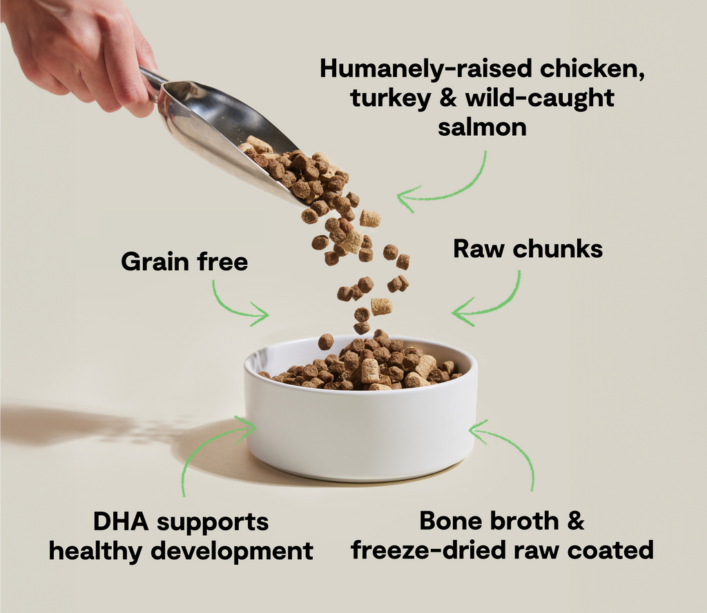 Kitten Kibble product image 5