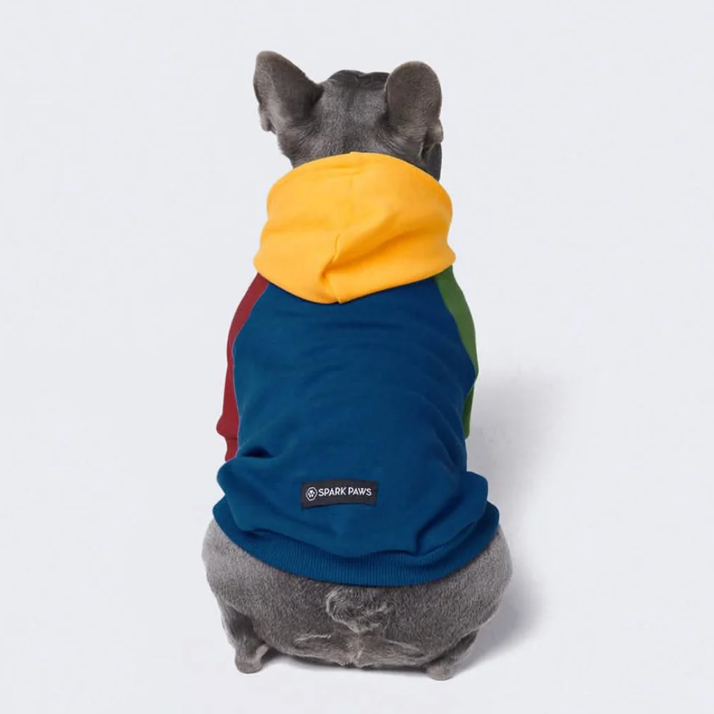 Primary Color Hoodie||size:S,M,L,XL,2XL,3XL,4XL,5XL