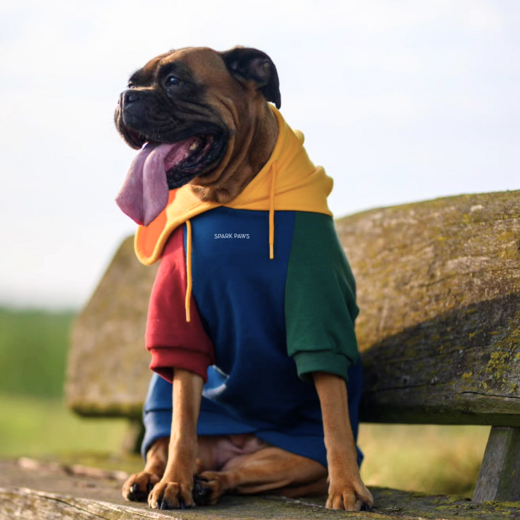 Primary Color Hoodie||size:S,M,L,XL,2XL,3XL,4XL,5XL