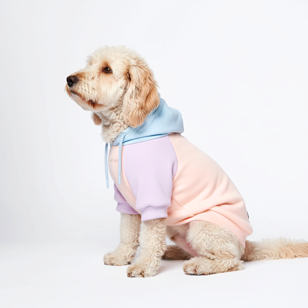 Cotton Candy Hoodie||size:XL