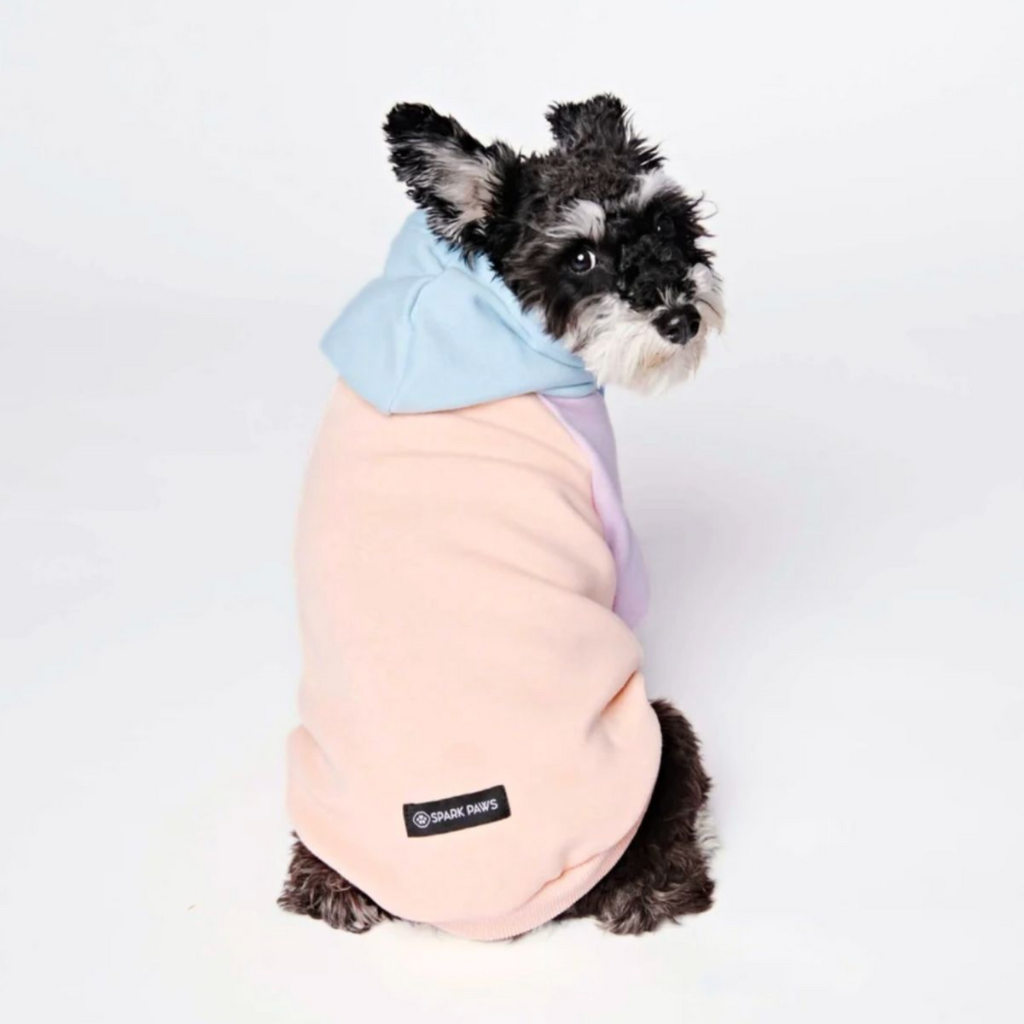 Cotton Candy Hoodie||size:S,M,L,XL,2XL,3XL,4XL,5XL