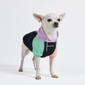 Color Block Dog Hoodie, Cyber Punk Hoodie / S