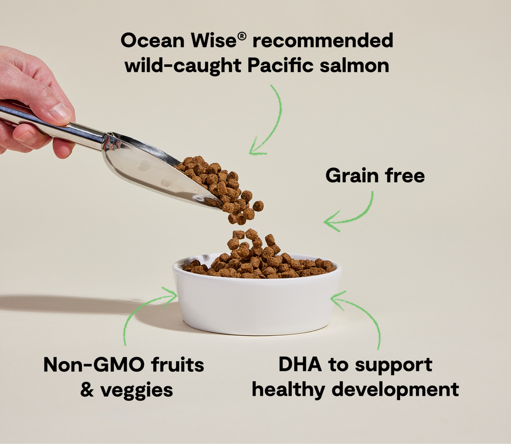 Dry Puppy Food product image 5