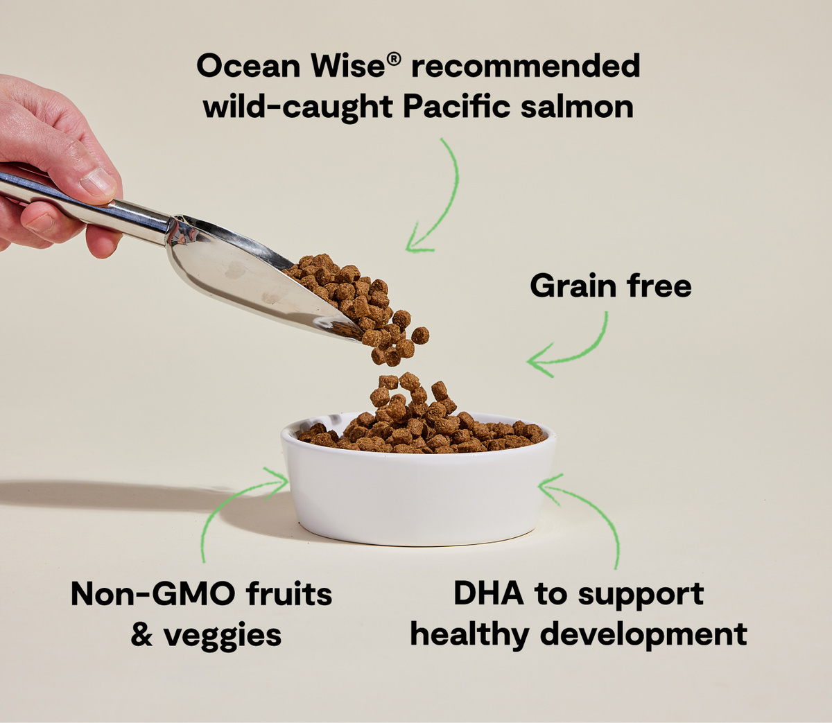 Dry Puppy Food product image 5