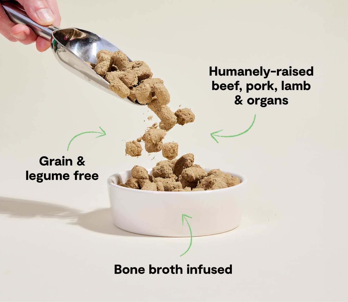 Freeze-Dried Raw Dog Food Morsels product image 4