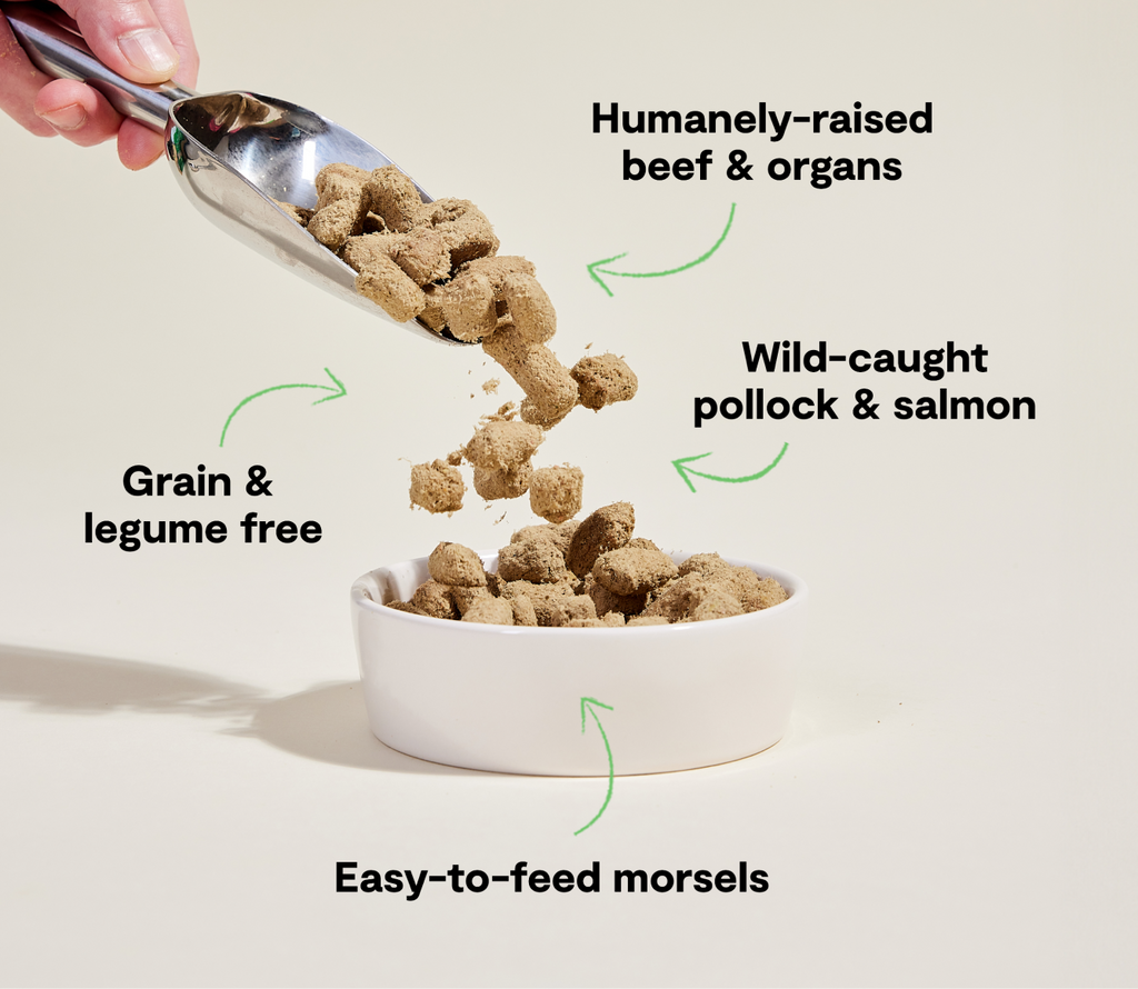 Freeze-Dried Raw Dog Food product image 4