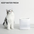 Wireless Pump Pet Water Fountain product image 2