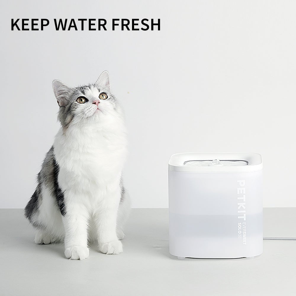 Wireless Pump Pet Water Fountain product image 2