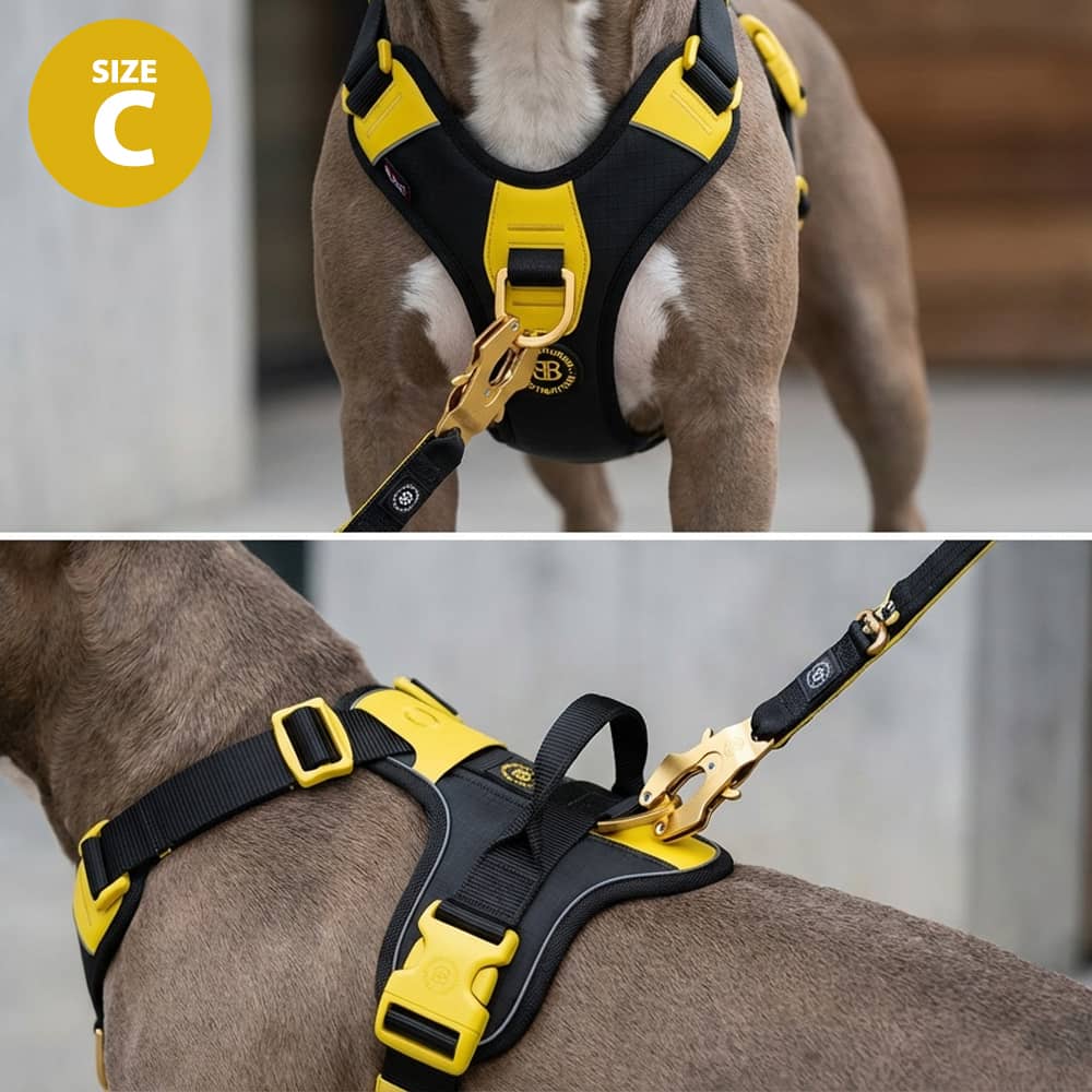 Ripstop No-Pull Dog Harness product image 5
