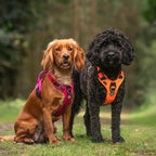 Ripstop No-Pull Dog Harness product image 6