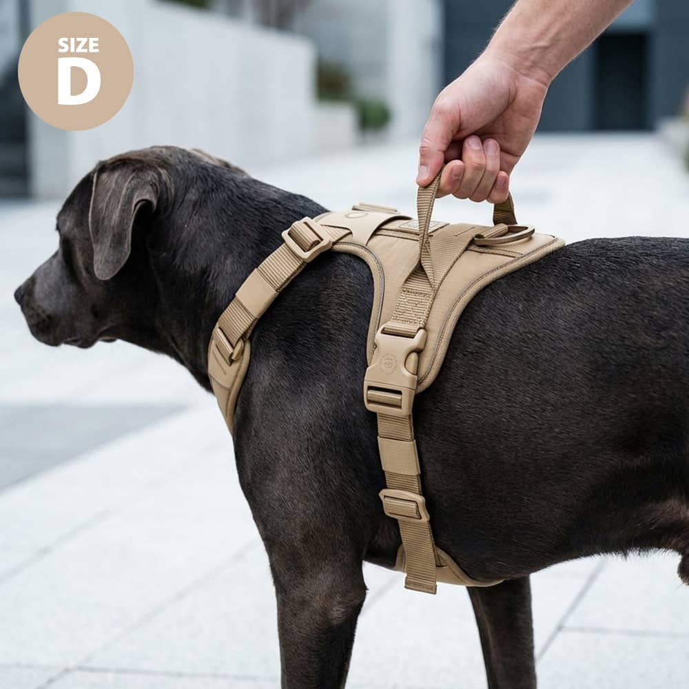 Ripstop No-Pull Dog Harness product image 7