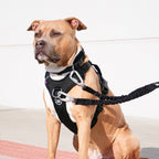 Ripstop No-Pull Dog Harness product image 8