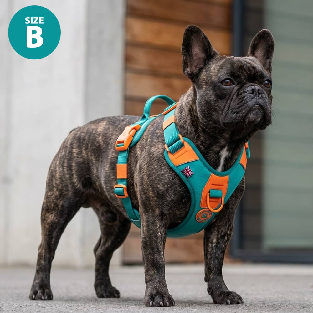 Ripstop No-Pull Dog Harness product image 9