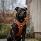 Ripstop No-Pull Dog Harness product image 11