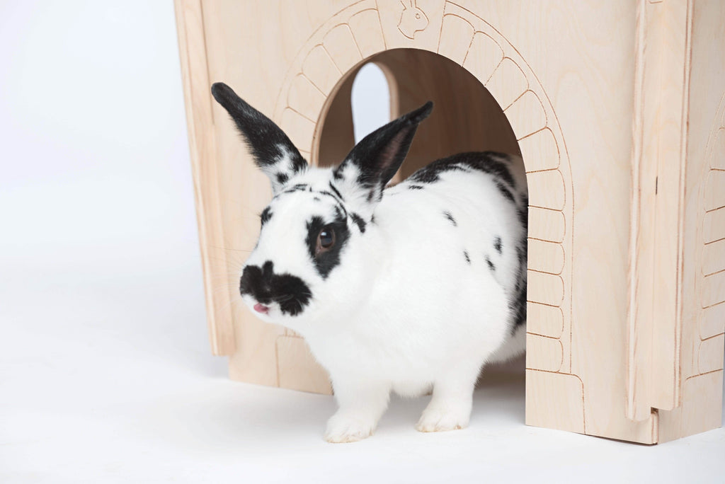 Small Animal Tunnel product image 3