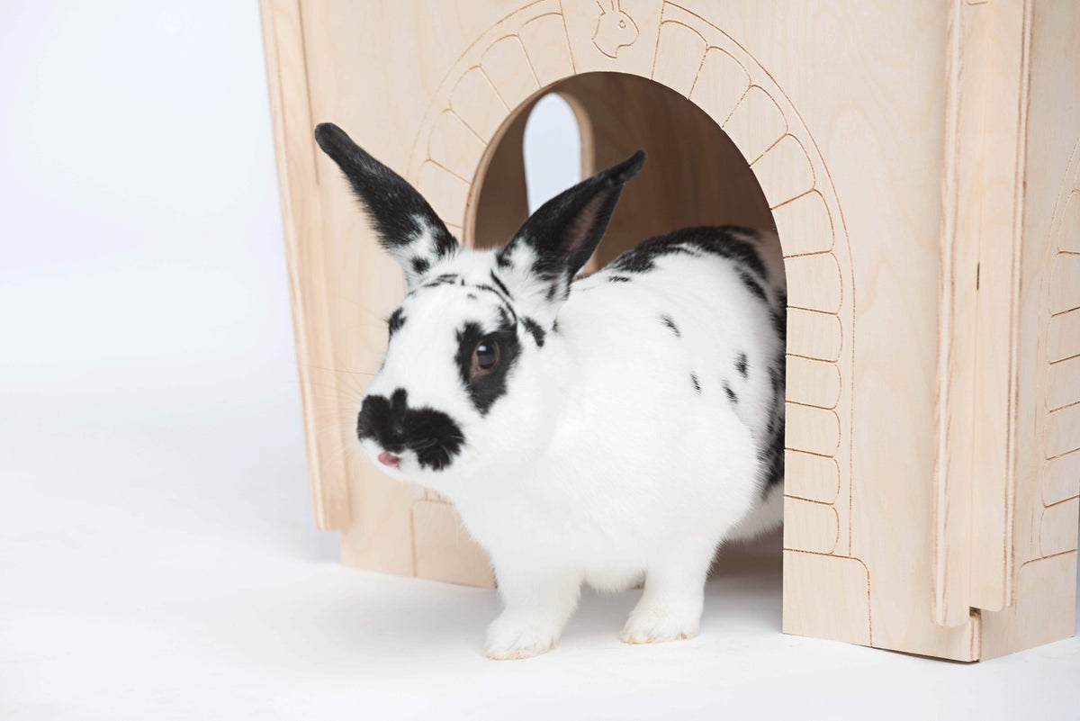 Small Animal Tunnel product image 3