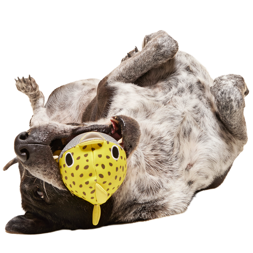 Floating Two-in-One Rubber Core Dog Fetch Toy product image 2