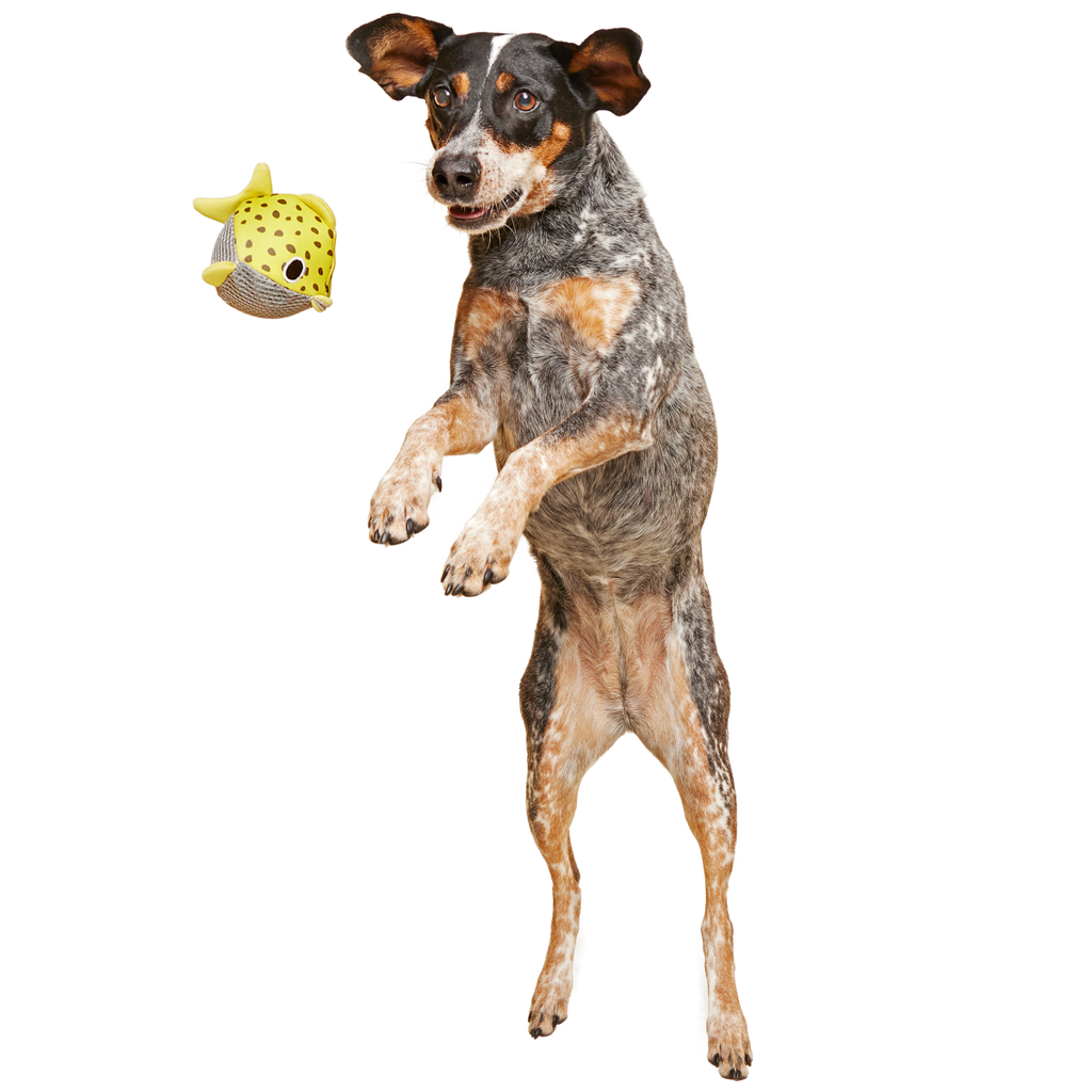 Floating Two-in-One Rubber Core Dog Fetch Toy product image 3