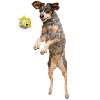 Floating Two-in-One Rubber Core Dog Fetch Toy product image 3
