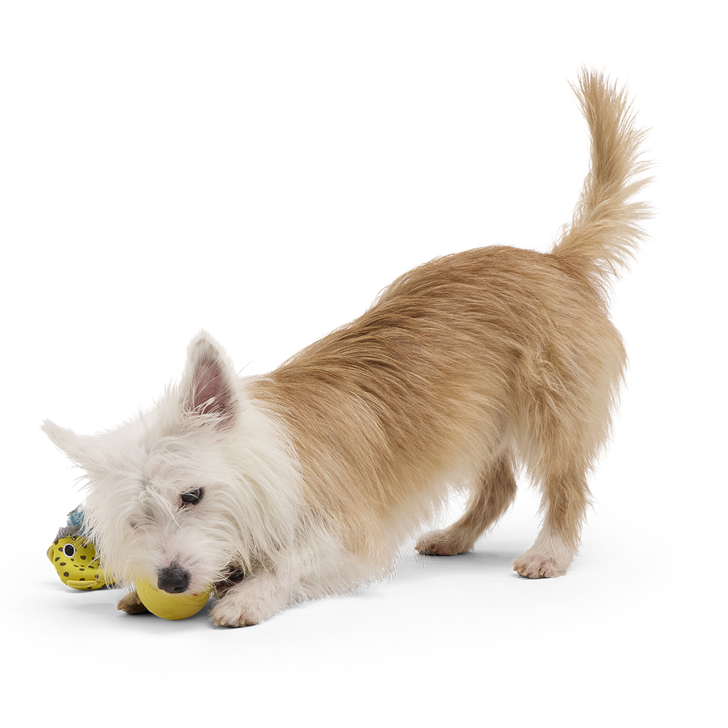 Floating Two-in-One Rubber Core Dog Fetch Toy product image 4