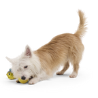 Floating Two-in-One Rubber Core Dog Fetch Toy product image 4
