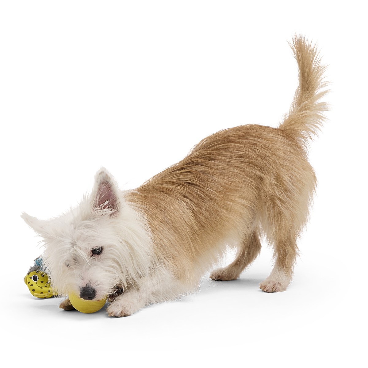 Floating Two-in-One Rubber Core Dog Fetch Toy product image 4
