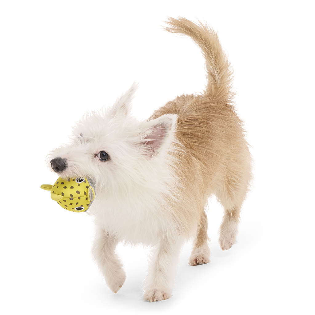 Floating Two-in-One Rubber Core Dog Fetch Toy product image 5
