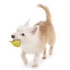 Floating Two-in-One Rubber Core Dog Fetch Toy product image 5