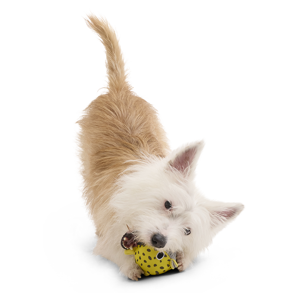 Floating Two-in-One Rubber Core Dog Fetch Toy product image 6