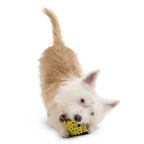 Floating Two-in-One Rubber Core Dog Fetch Toy product image 6